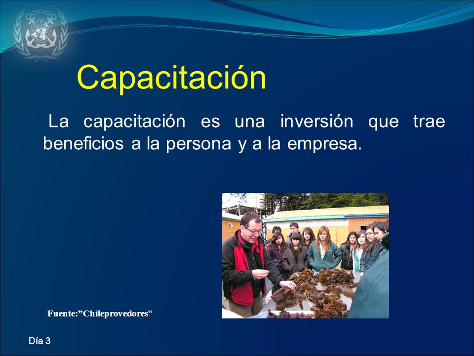 Capacitación La capacitación es una inversión que trae beneficios a la persona y a la empresa. Fuente: Chileprovedores