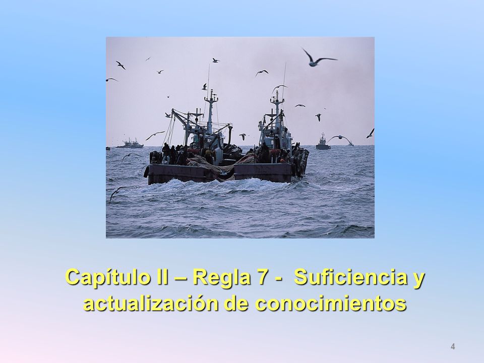 Capítulo II – Regla 7 - Suficiencia y actualización de conocimientos