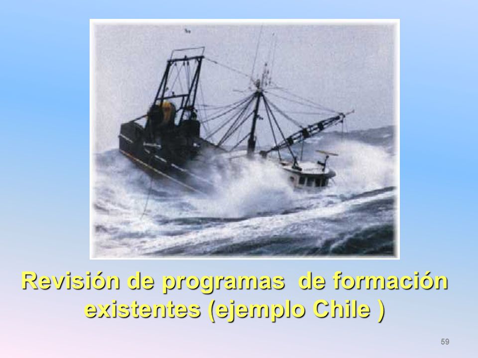 Revisión de programas de formación existentes (ejemplo Chile )