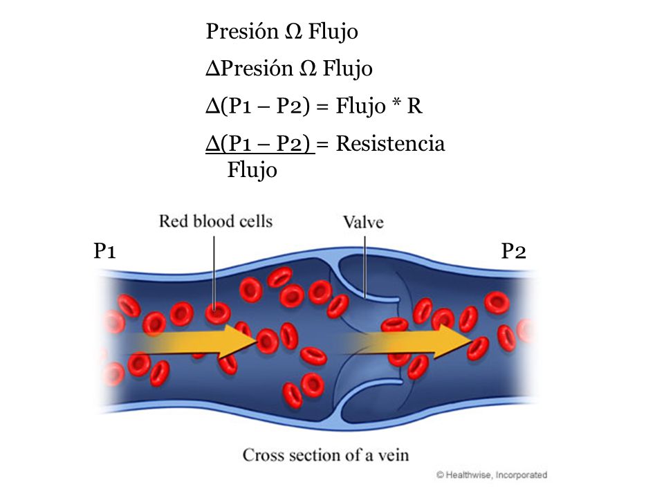 Presión Ω Flujo ∆Presión Ω Flujo ∆(P1 – P2) = Flujo * R ∆(P1 – P2) = Resistencia Flujo P1 P2
