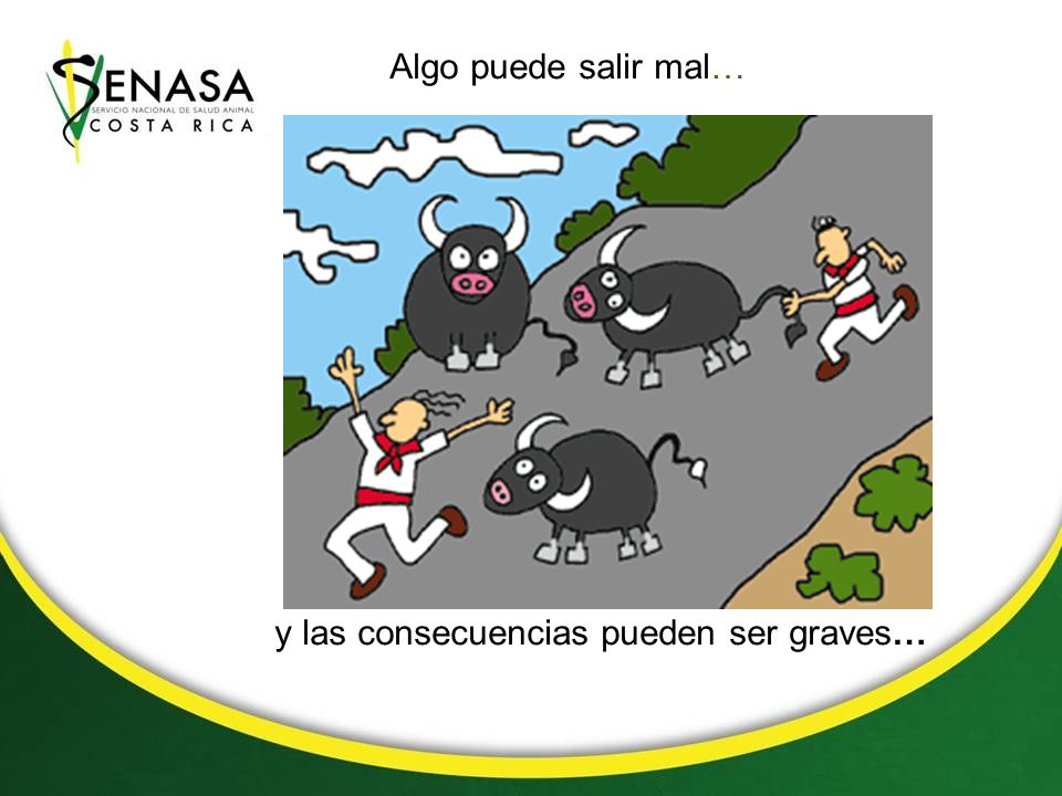 Algo puede salir mal… y las consecuencias pueden ser graves…