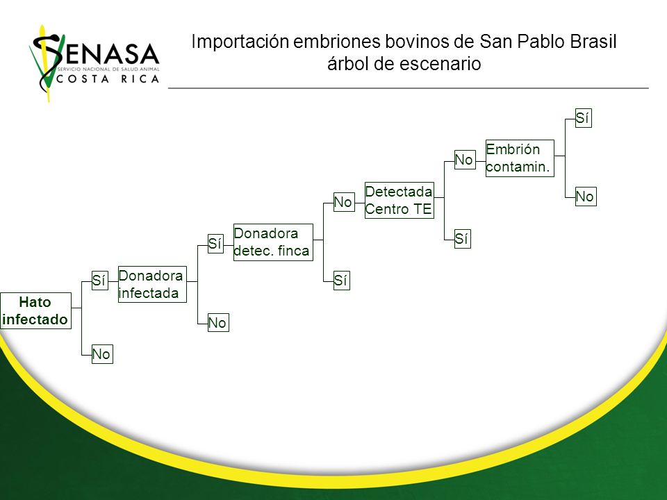 Importación embriones bovinos de San Pablo Brasil árbol de escenario