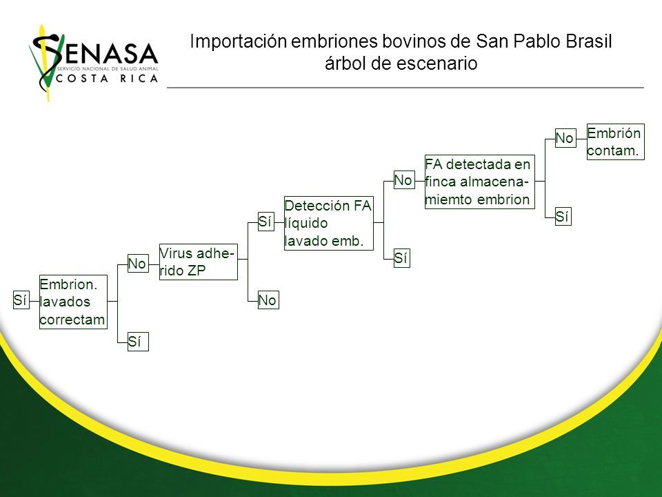Importación embriones bovinos de San Pablo Brasil árbol de escenario