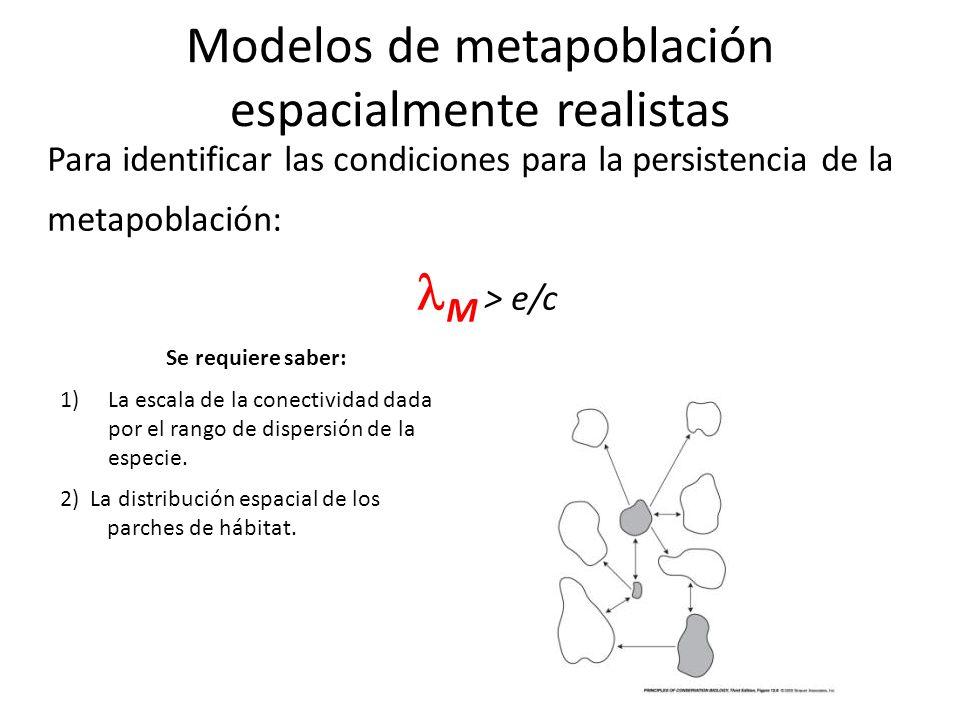 Modelos de metapoblación espacialmente realistas
