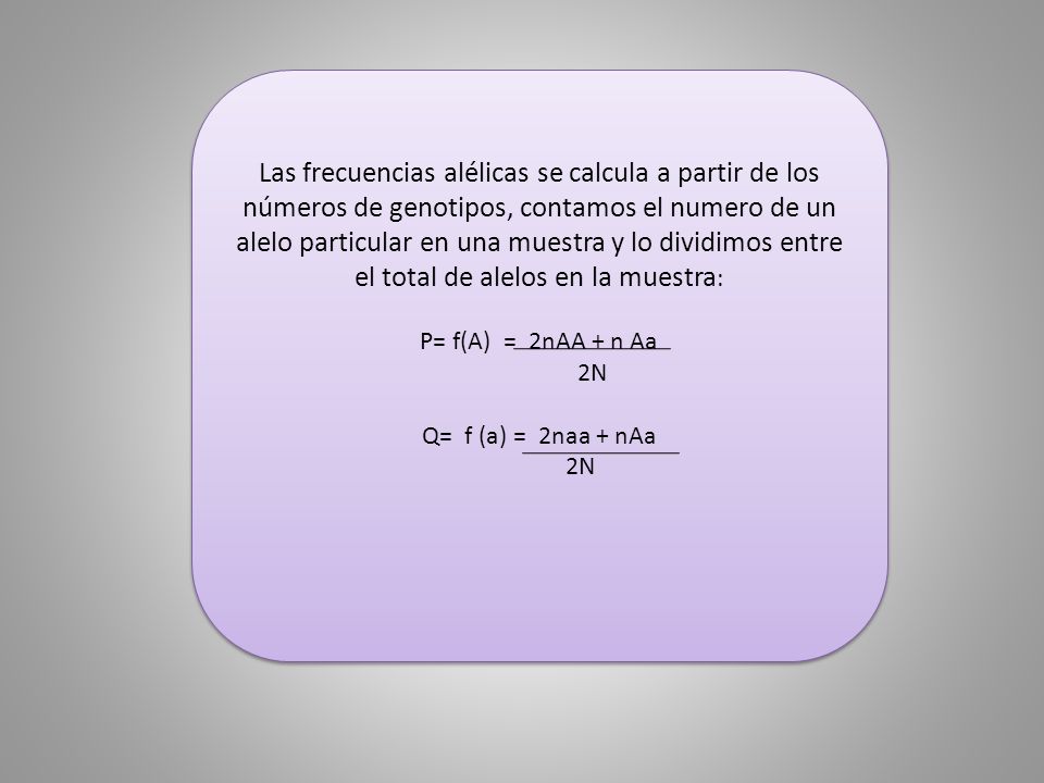 Las frecuencias alélicas se calcula a partir de los números de genotipos, contamos el numero de un alelo particular en una muestra y lo dividimos entre el total de alelos en la muestra: