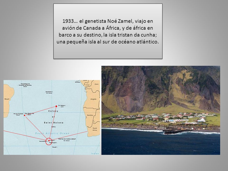 1933… el genetista Noé Zamel, viajo en avión de Canada a África, y de áfrica en barco a su destino, la isla tristan da cunha; una pequeña isla al sur de océano atlántico.