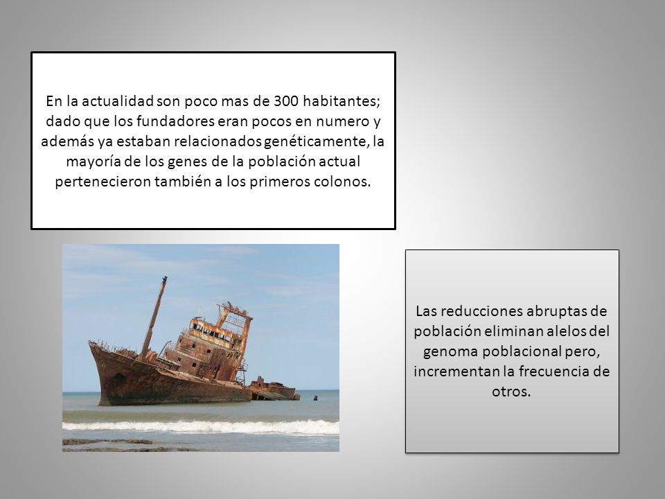 En la actualidad son poco mas de 300 habitantes; dado que los fundadores eran pocos en numero y además ya estaban relacionados genéticamente, la mayoría de los genes de la población actual pertenecieron también a los primeros colonos.