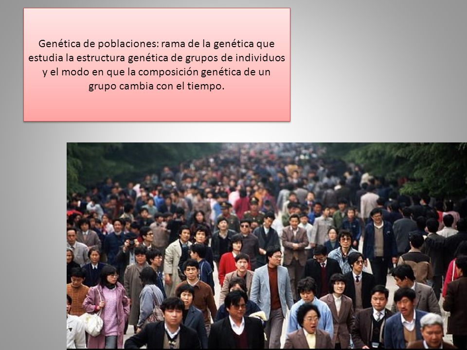 Genética de poblaciones: rama de la genética que estudia la estructura genética de grupos de individuos y el modo en que la composición genética de un grupo cambia con el tiempo.