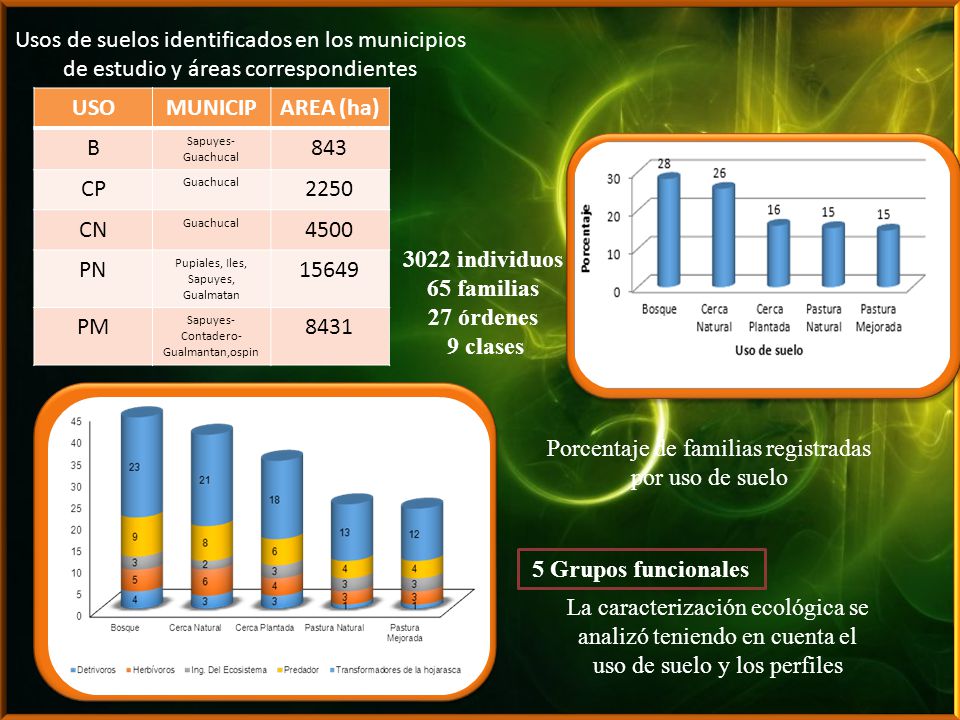 Porcentaje de familias registradas por uso de suelo