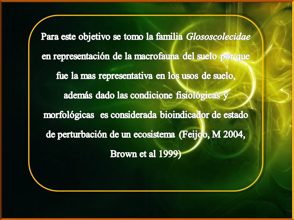 Para este objetivo se tomo la familia Glososcolecidae en representación de la macrofauna del suelo por que fue la mas representativa en los usos de suelo, además dado las condicione fisiológicas y morfológicas es considerada bioindicador de estado de perturbación de un ecosistema (Feijoo, M 2004, Brown et al 1999)