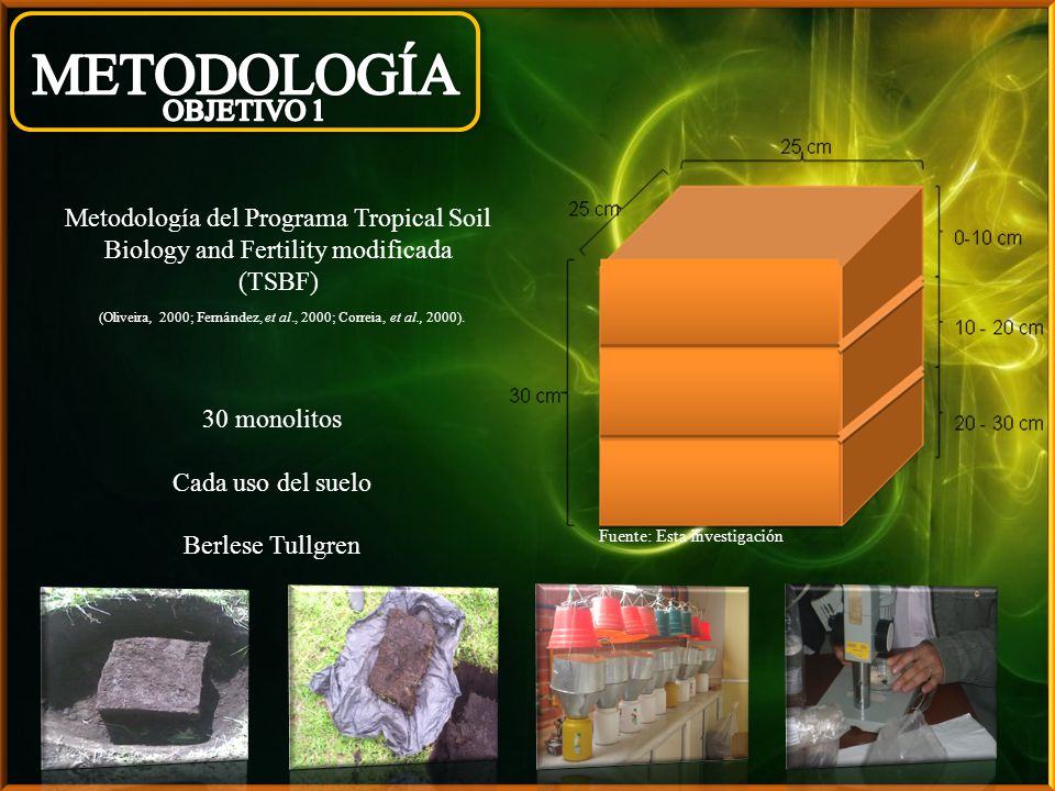 METODOLOGÍA OBJETIVO 1. Metodología del Programa Tropical Soil Biology and Fertility modificada (TSBF)