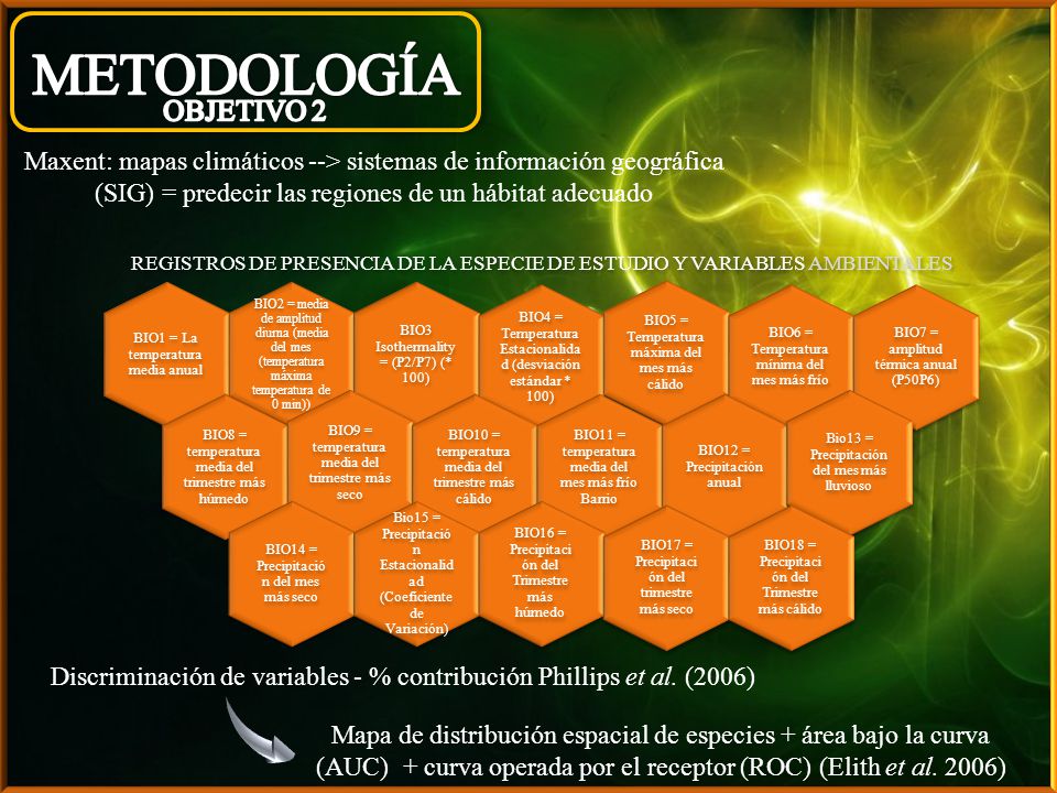 METODOLOGÍA OBJETIVO 2. Maxent: mapas climáticos --> sistemas de información geográfica (SIG) = predecir las regiones de un hábitat adecuado.