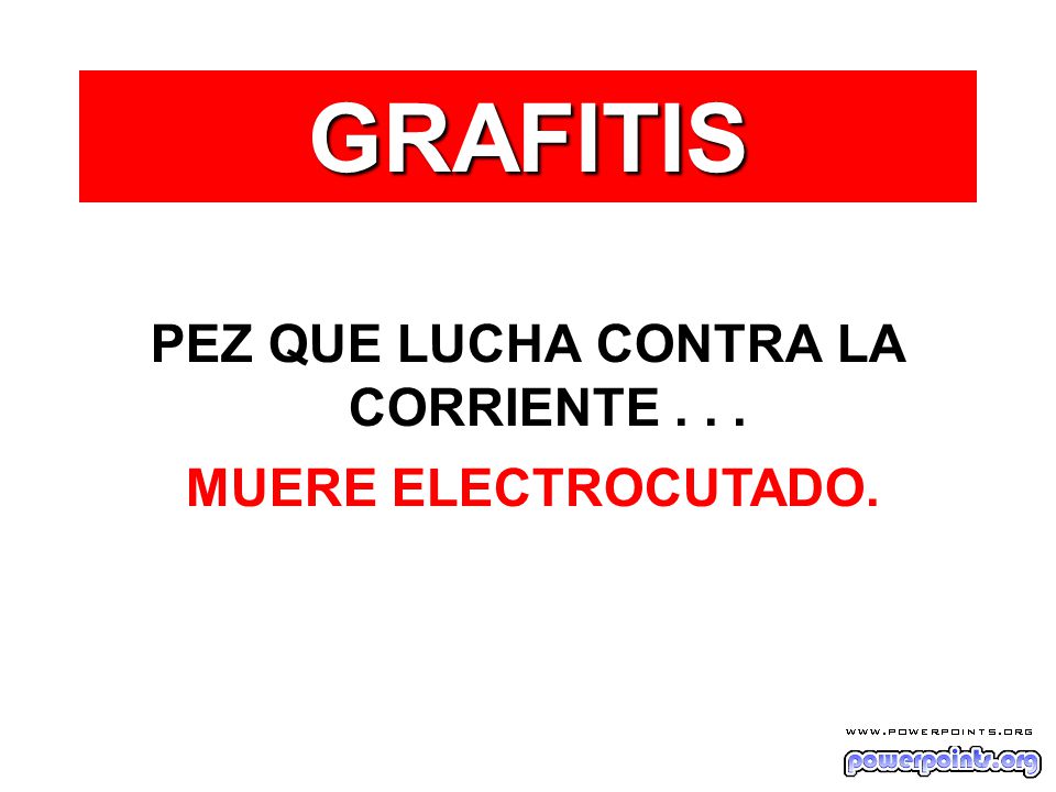 PEZ QUE LUCHA CONTRA LA CORRIENTE . . .