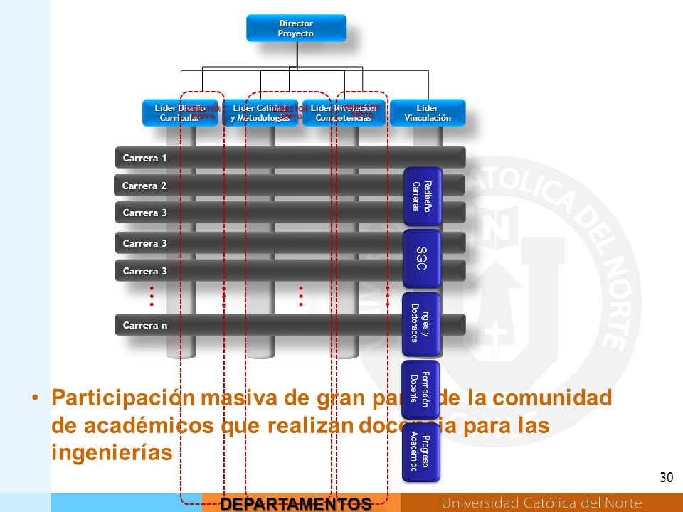 Director Proyecto. Líder Calidad y Metodologías. Líder Nivelación Competencias. Líder Vinculación.