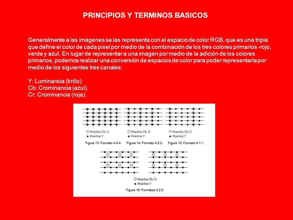 PRINCIPIOS Y TERMINOS BASICOS