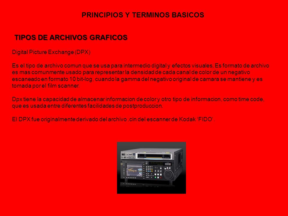 PRINCIPIOS Y TERMINOS BASICOS