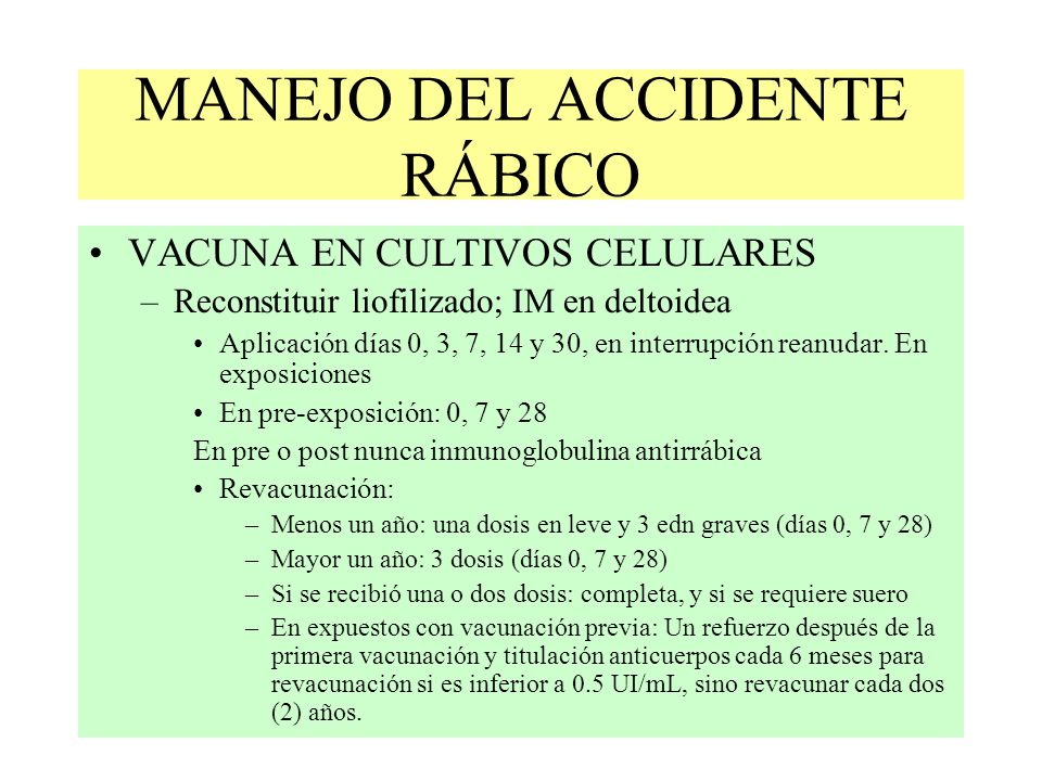 MANEJO DEL ACCIDENTE RÁBICO