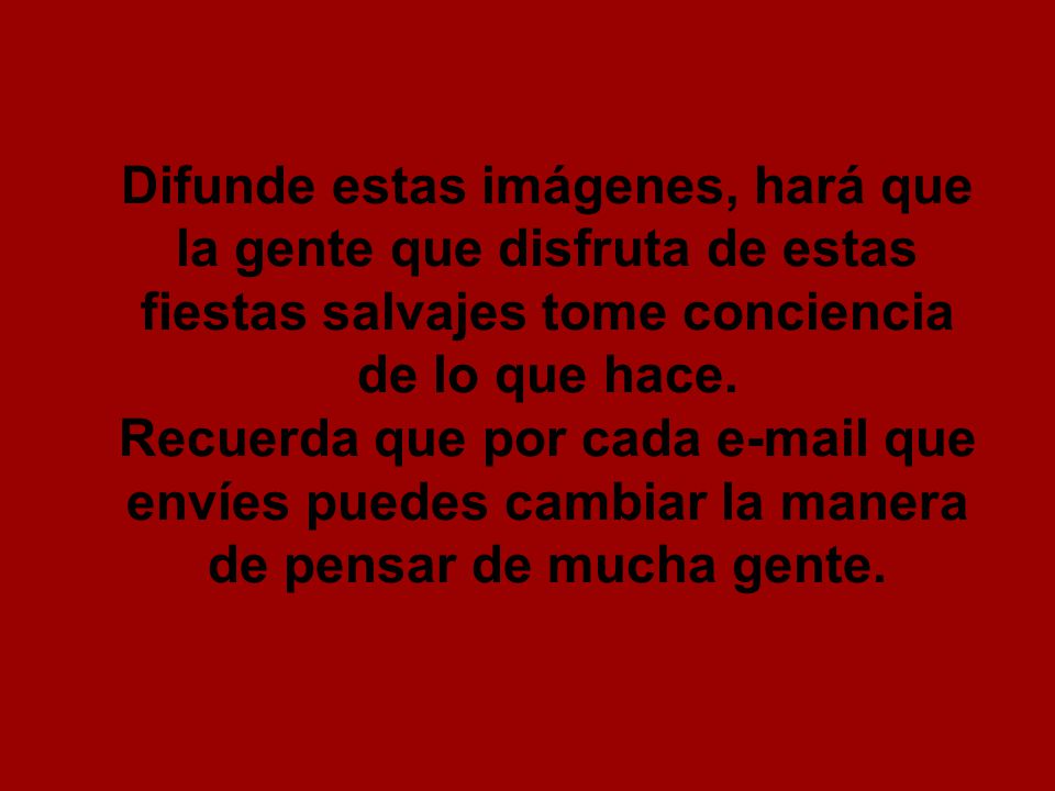 Difunde estas imágenes, hará que la gente que disfruta de estas fiestas salvajes tome conciencia de lo que hace.