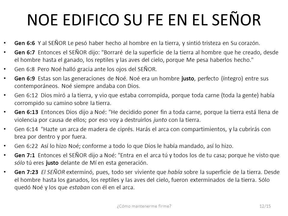 NOE EDIFICO SU FE EN EL SEÑOR