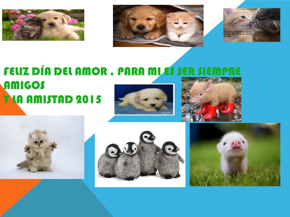 Feliz día del amor . Para mi es ser siempre amigos y la amistad 2015
