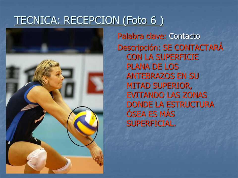 TECNICA: RECEPCION. Introducción - ppt descargar