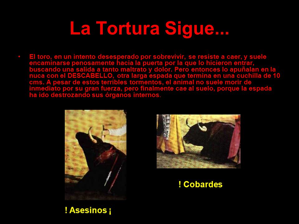 La Tortura Sigue... ! Cobardes ¡ ! Asesinos ¡
