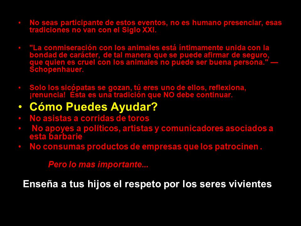 Cómo Puedes Ayudar No asistas a corridas de toros