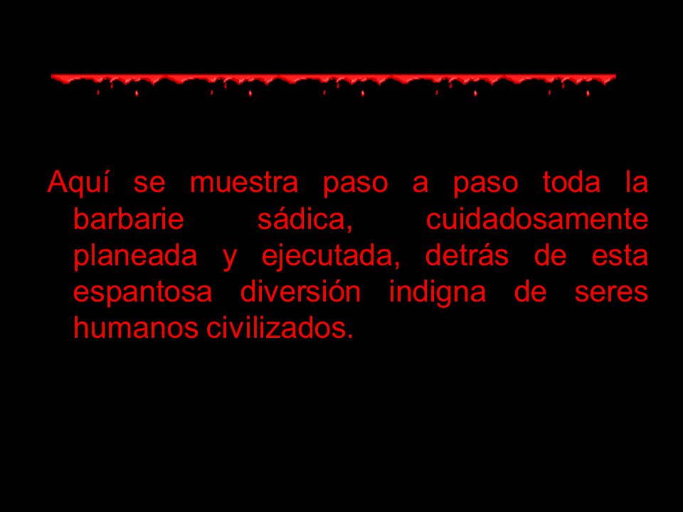 Aquí se muestra paso a paso toda la barbarie sádica, cuidadosamente planeada y ejecutada, detrás de esta espantosa diversión indigna de seres humanos civilizados.