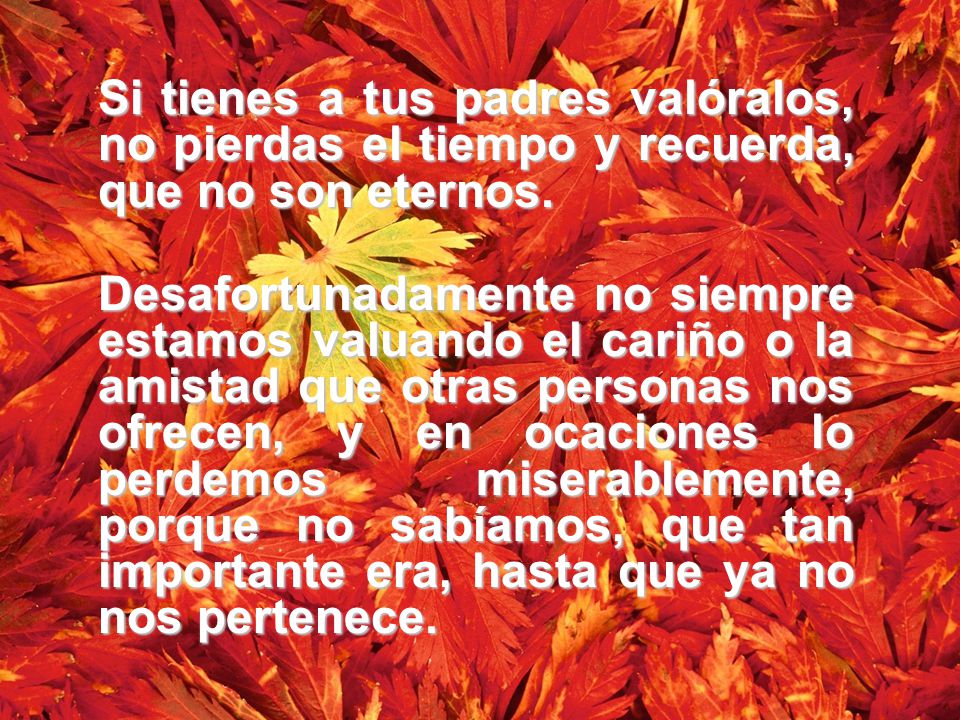 Si tienes a tus padres valóralos, no pierdas el tiempo y recuerda, que no son eternos.