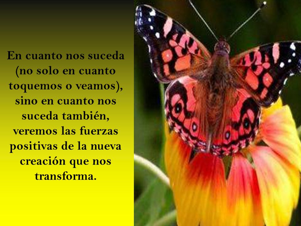 En cuanto nos suceda (no solo en cuanto toquemos o veamos), sino en cuanto nos suceda también, veremos las fuerzas positivas de la nueva creación que nos transforma.