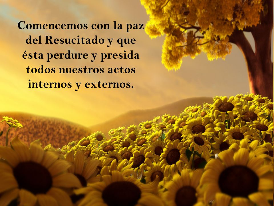 Comencemos con la paz del Resucitado y que ésta perdure y presida todos nuestros actos internos y externos.