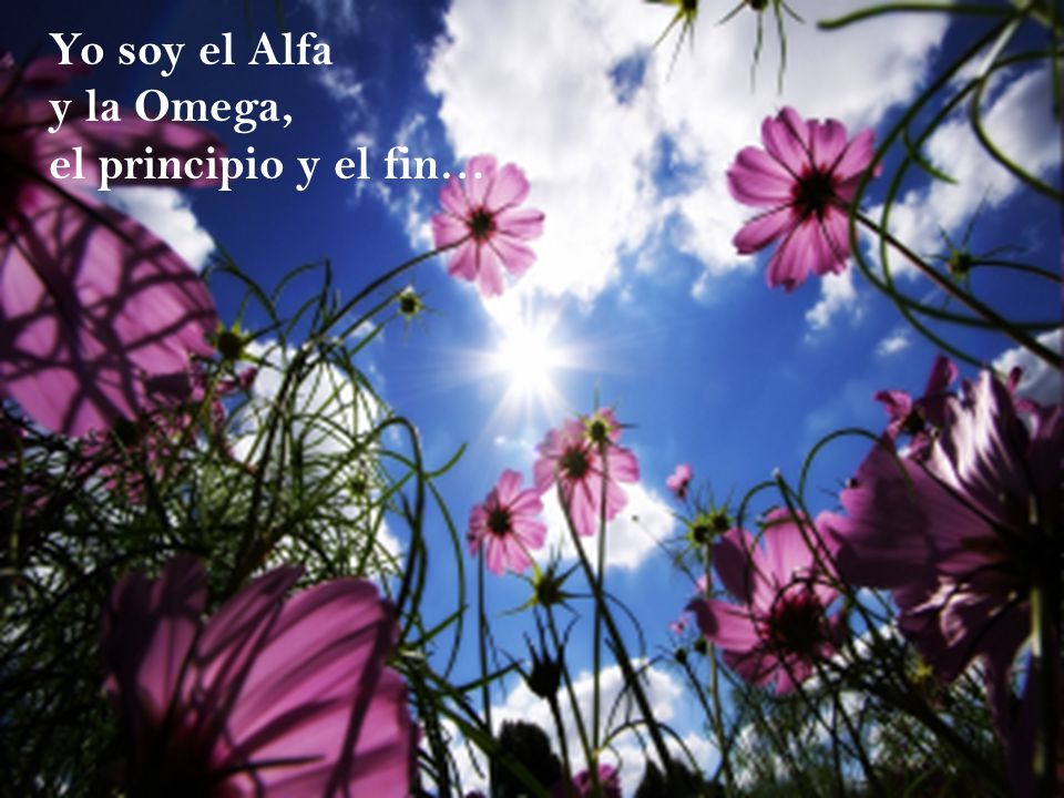 Yo soy el Alfa y la Omega, el principio y el fin…