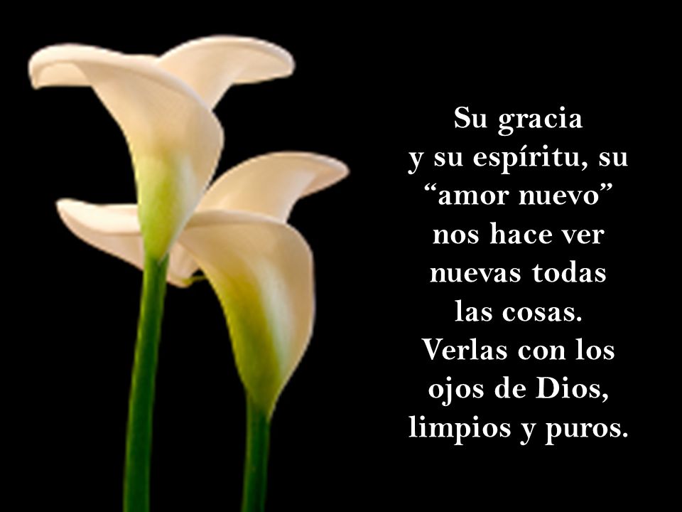 Su gracia y su espíritu, su amor nuevo nos hace ver nuevas todas las cosas.