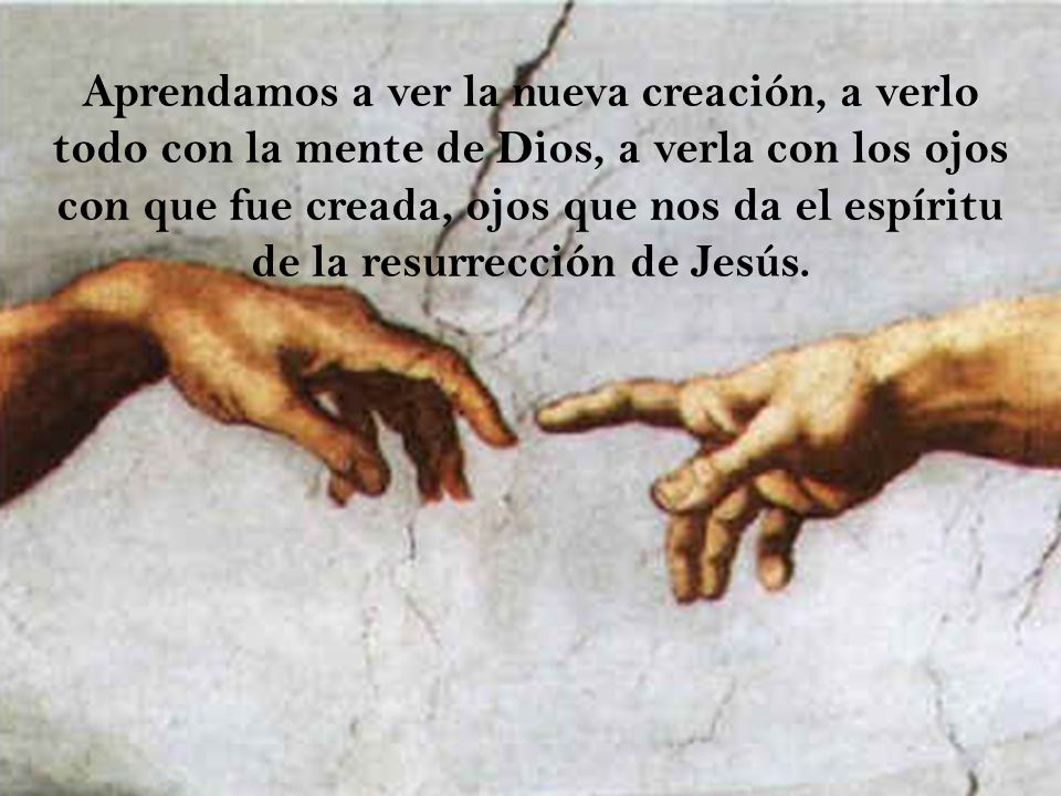 Aprendamos a ver la nueva creación, a verlo todo con la mente de Dios, a verla con los ojos con que fue creada, ojos que nos da el espíritu de la resurrección de Jesús.