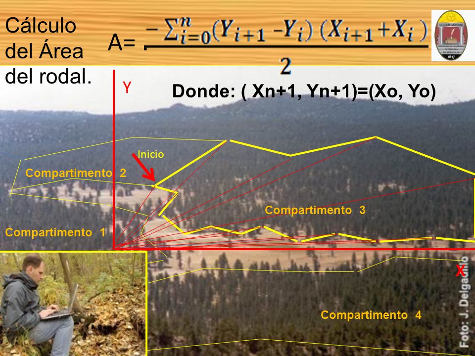 Cálculo del Área del rodal.