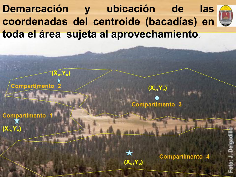 Demarcación y ubicación de las coordenadas del centroide (bacadías) en toda el área sujeta al aprovechamiento.