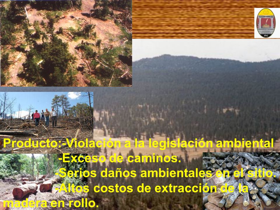 Producto:-Violación a la legislación ambiental -Exceso de caminos