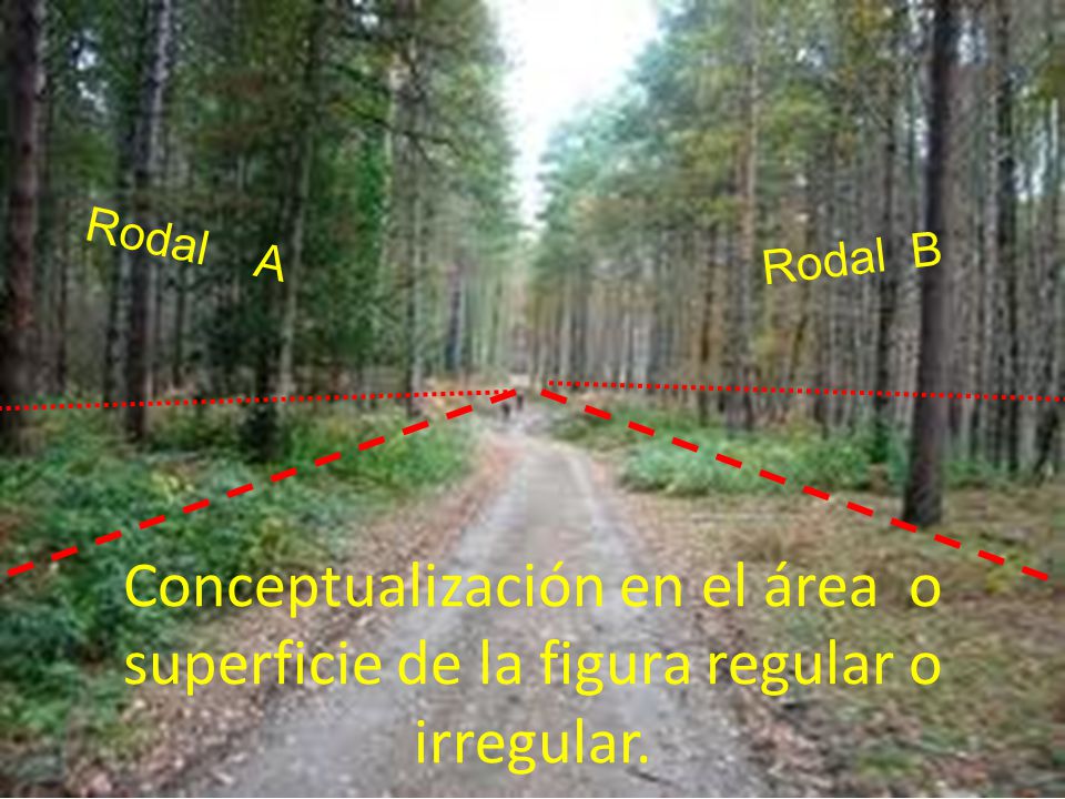Rodal A Rodal B Conceptualización en el área o superficie de la figura regular o irregular.