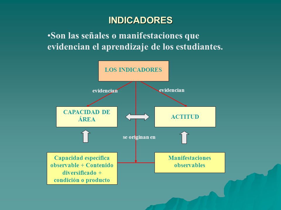 Manifestaciones observables