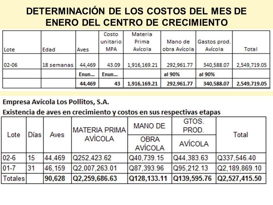 DETERMINACIÓN DE LOS COSTOS DEL MES DE ENERO DEL CENTRO DE CRECIMIENTO