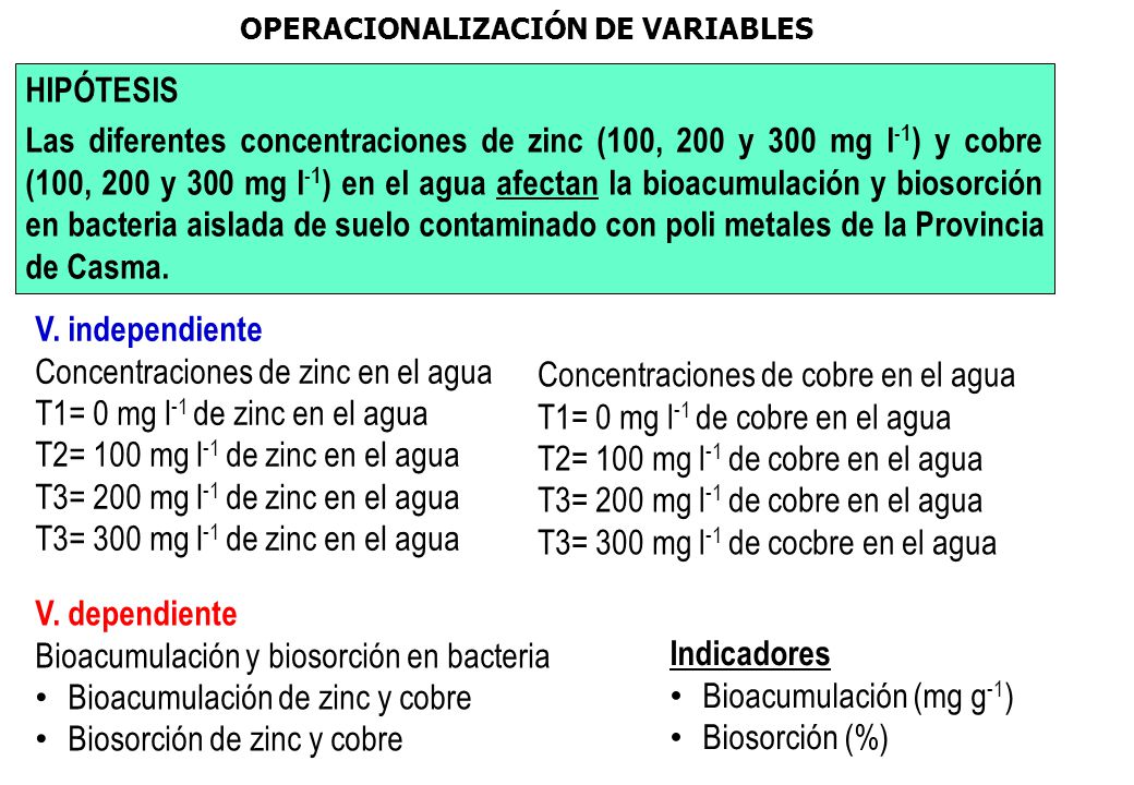 Concentraciones de zinc en el agua T1= 0 mg l-1 de zinc en el agua