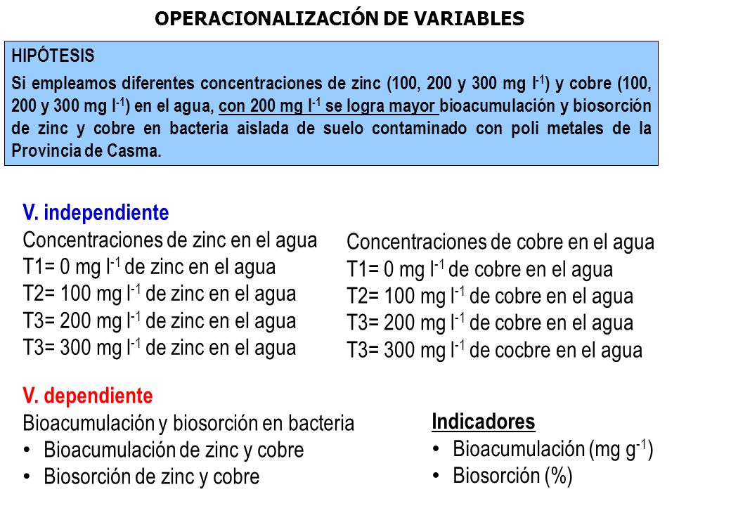 Concentraciones de zinc en el agua T1= 0 mg l-1 de zinc en el agua