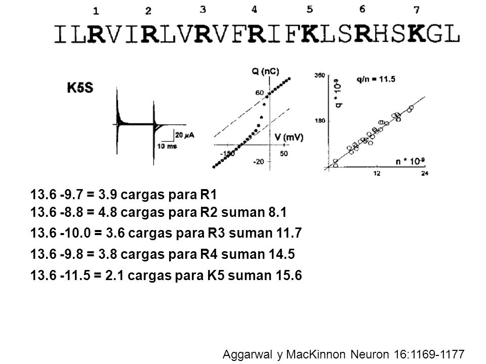 = 3.9 cargas para R = 4.8 cargas para R2 suman = 3.6 cargas para R3 suman
