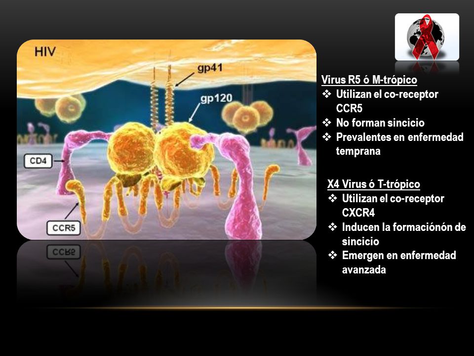 Virus R5 ó M-trόpico Utilizan el co-receptor CCR5. No forman sincicio. Prevalentes en enfermedad temprana.