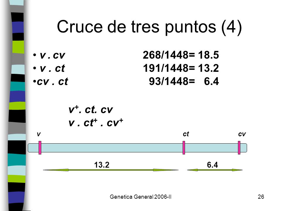 Cruce de tres puntos (4) v . cv 268/1448= 18.5 v . ct 191/1448= 13.2