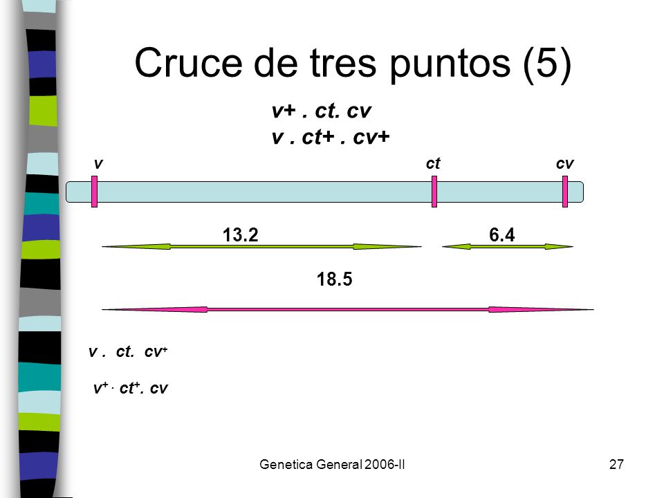 Cruce de tres puntos (5) v+ . ct. cv v . ct+ . cv