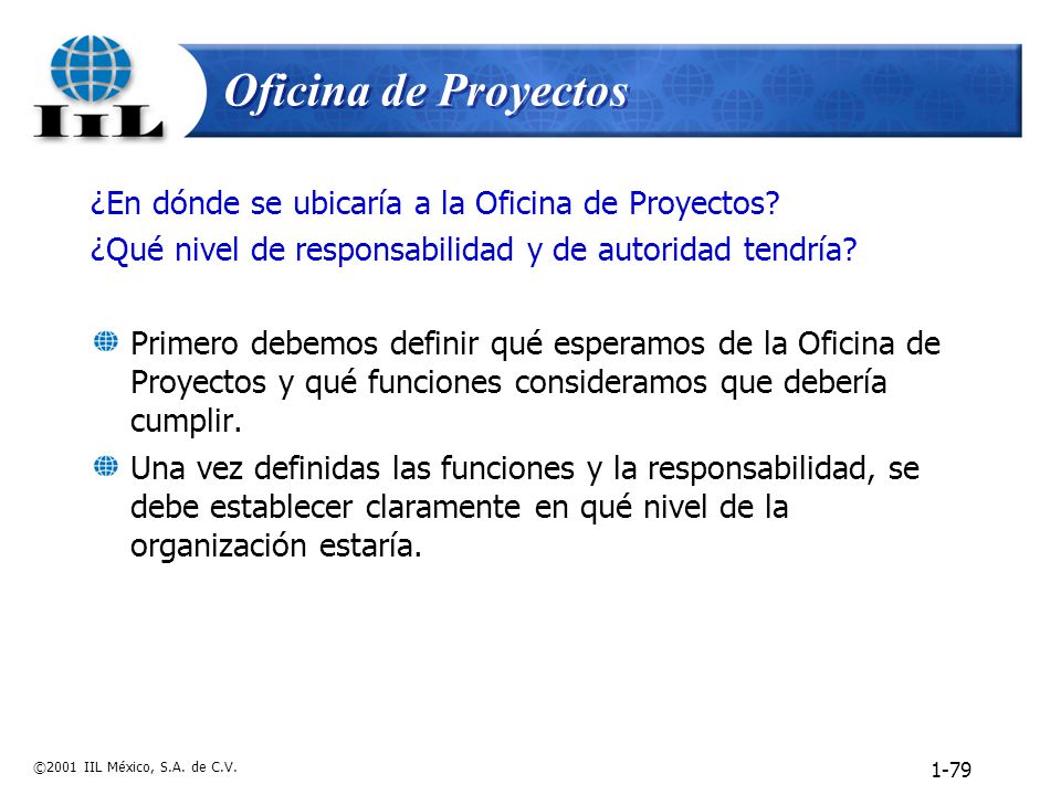 Oficina de proyectos (Project office) Funciones de la oficina de proyectos
