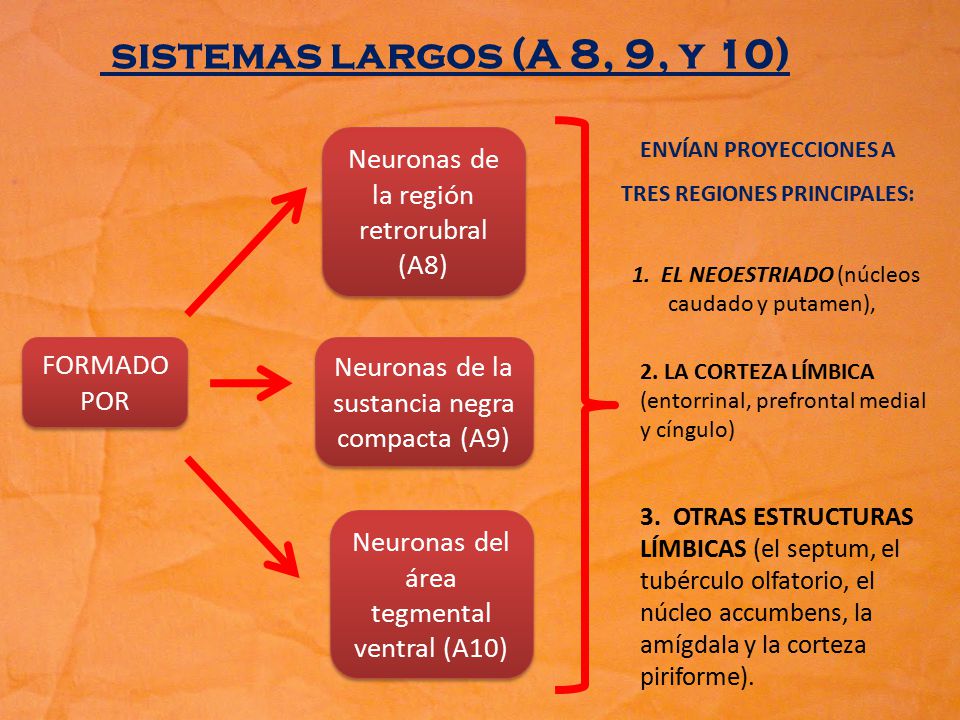 ENVÍAN PROYECCIONES A TRES REGIONES PRINCIPALES: