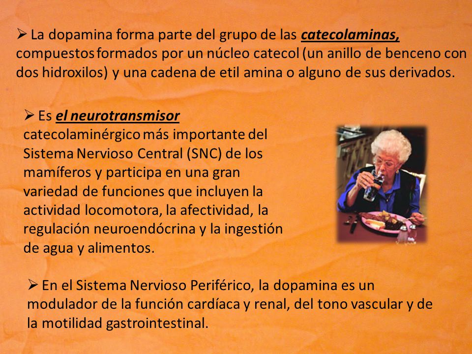 La dopamina forma parte del grupo de las catecolaminas, compuestos formados por un núcleo catecol (un anillo de benceno con dos hidroxilos) y una cadena de etil amina o alguno de sus derivados.