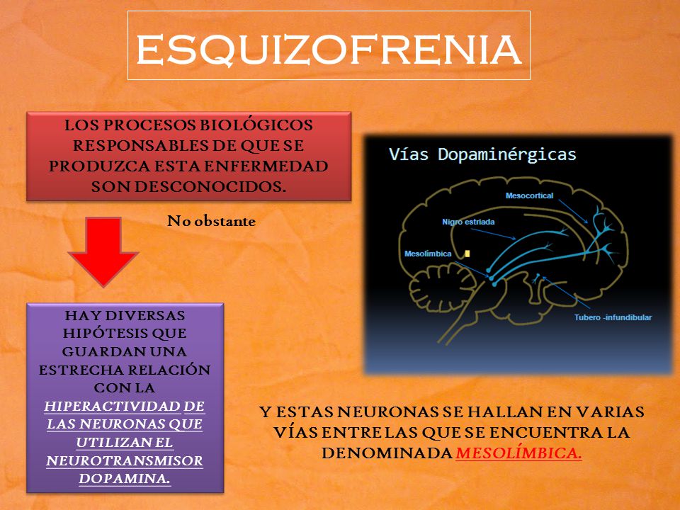 esquizofrenia LOS PROCESOS BIOLÓGICOS RESPONSABLES DE QUE SE PRODUZCA ESTA ENFERMEDAD SON DESCONOCIDOS.